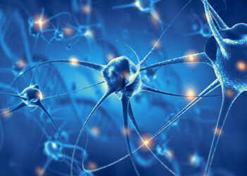 Una proteina nel sangue potrebbe anticipare l’Alzheimer di 15 anni: cosa ha scoperto l’équipe di ricercatori europei