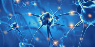 Una proteina nel sangue potrebbe anticipare l’Alzheimer di 15 anni: cosa ha scoperto l’équipe di ricercatori europei