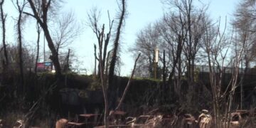 Una discarica abusiva