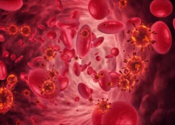 Globuli rossi presenti nel sangue