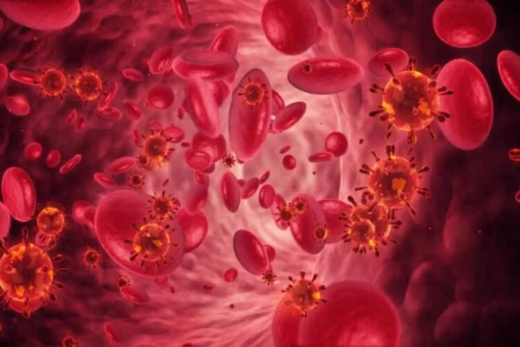 Globuli rossi presenti nel sangue