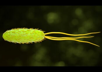 Archaea, un microbo ancestrale