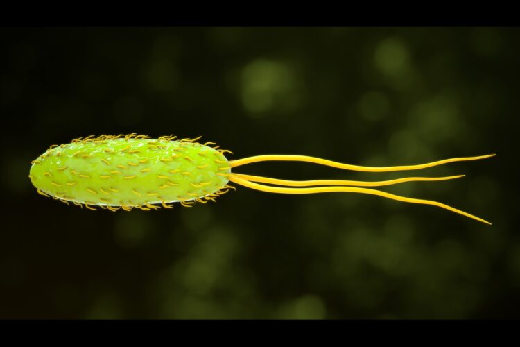 Archaea, un microbo ancestrale