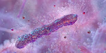 La tossina del botulino