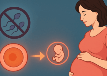 Può una donna restare incinta senza uomo? La scienza indaga sulla partenogenesi