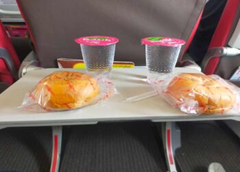 Cibo in aereo, cosa si può portare a bordo