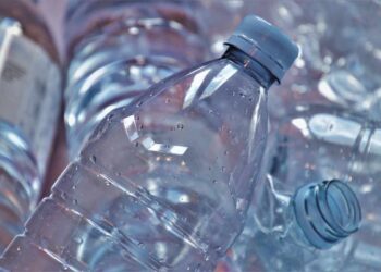 Delle bottiglie di plastica