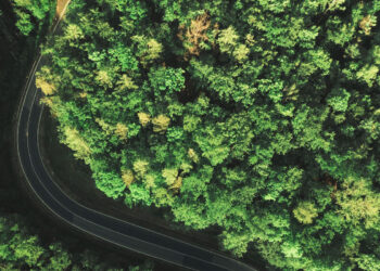 Google Maps, percorso verde: come scegliere le strade che consumano meno carburante