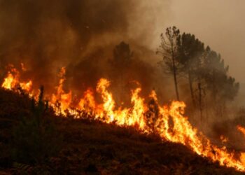 Gli effetti degli incendi in Spagna