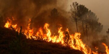 Gli effetti degli incendi in Spagna