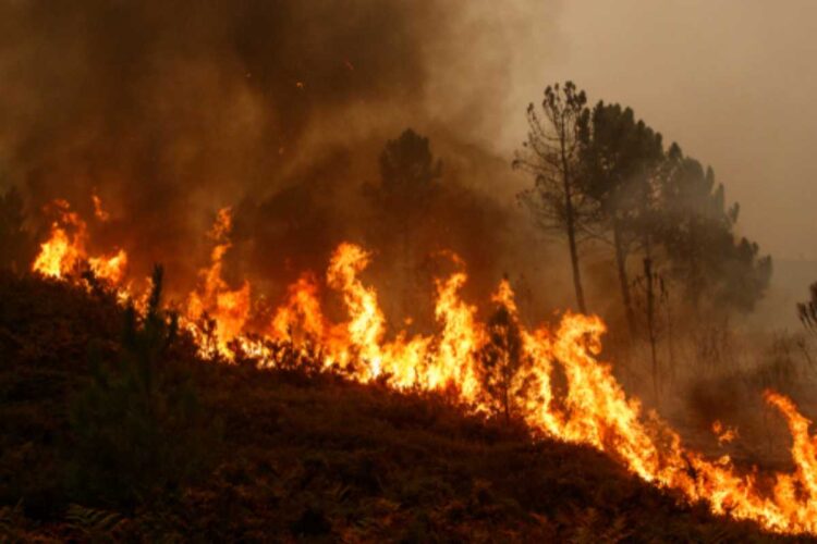 Gli effetti degli incendi in Spagna