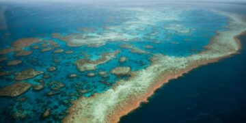 Grande Barriera Corallina a rischio