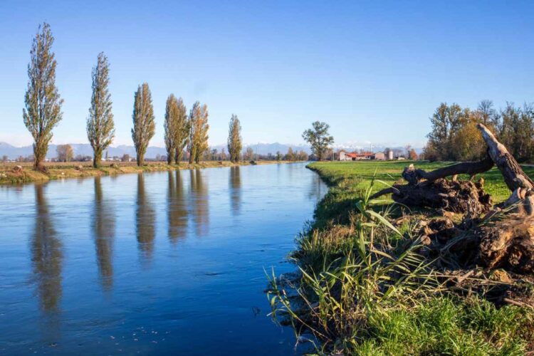 Il fiume Adda dove è annegato un sedicenne