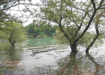 Le conseguenze di un monsone in Pakistan