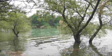 Le conseguenze di un monsone in Pakistan