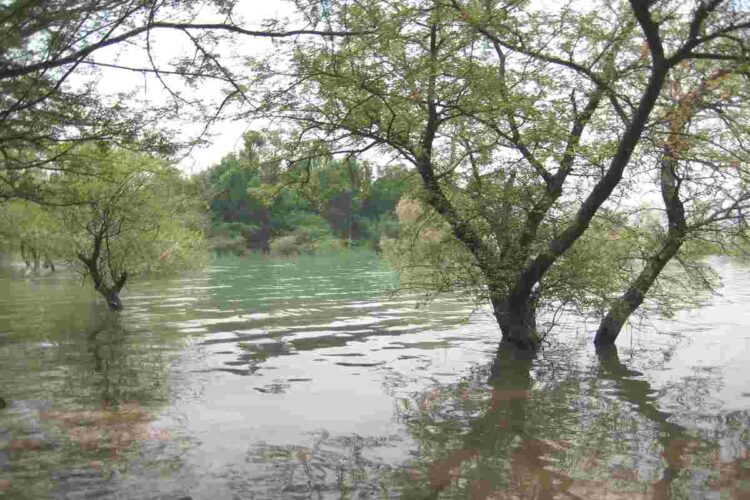 Le conseguenze di un monsone in Pakistan