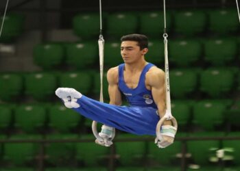 Lorenzo Bonicelli durante l'esecuzione di un esercizio agli anelli nel 2019
