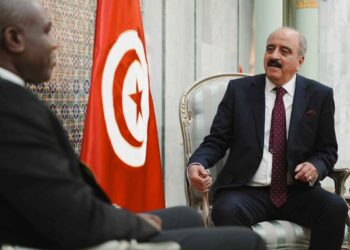 Mohamed Ali Nafti, il ministro degli esteri della Tunisia