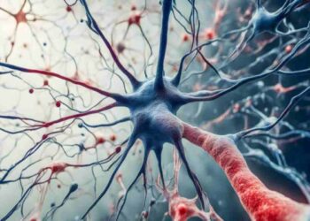 Nuove terapie per la SLA