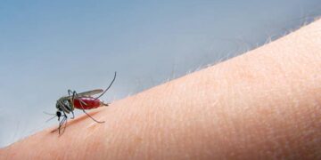 Nuovo caso di West Nile in Sardegna