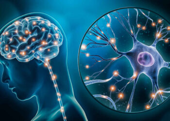 Cosa accade al cervello quando sogniamo (e perché li dimentichiamo subito) – e come facciamo a ricordarli