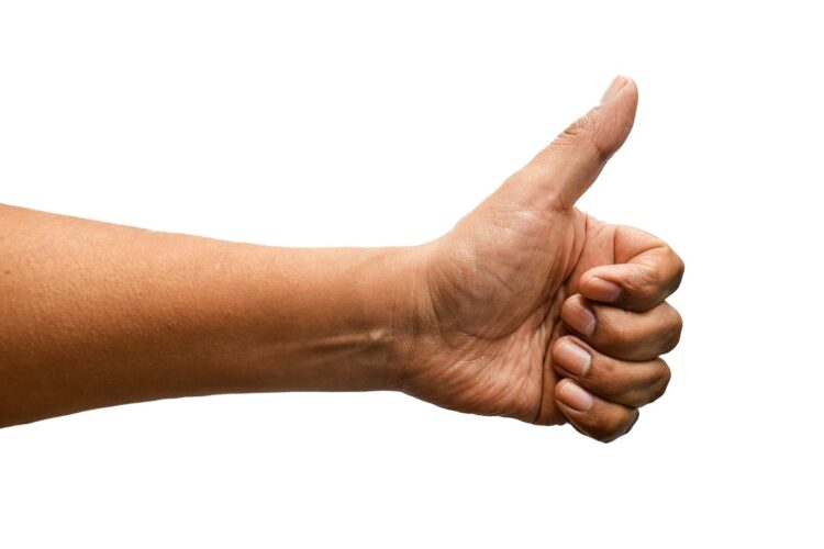 Scoperta correlazione tra lunghezza pollice e sviluppo cerebrale