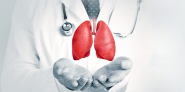 Trapianto di polmone da maiale, l'organo resta vitale per nove giorni