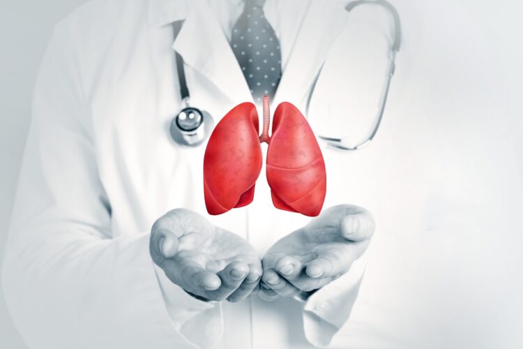 Trapianto di polmone da maiale, l'organo resta vitale per nove giorni