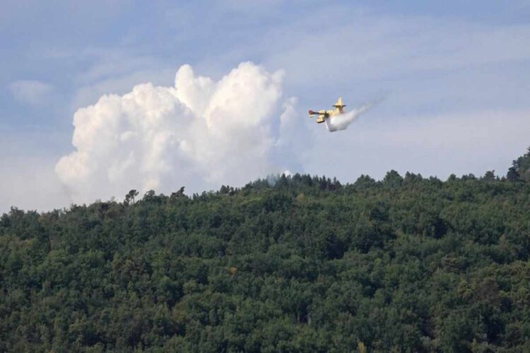 Un canadair in azione per domare l'incendio boschivo scoppiato nell'Aretino