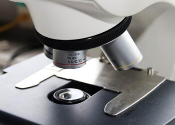 Un microscopio