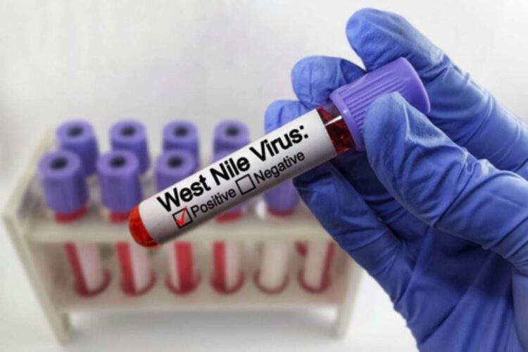 West Nile in Valle d'Aosta