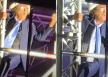 Al Bano si arrampica su un traliccio durante un concerto