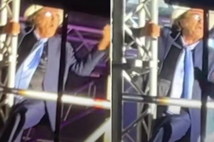 Al Bano si arrampica su un traliccio durante un concerto