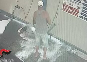 57enne lava il proprio cane all'autolavaggio