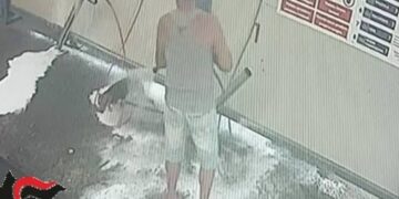 57enne lava il proprio cane all'autolavaggio