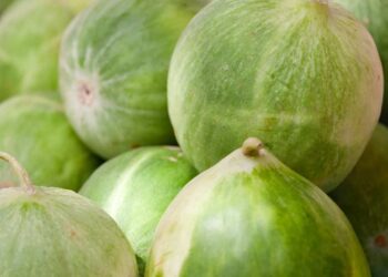 Il frutto segreto della Puglia che in estate mangiano tutti (ma fuori quasi nessuno conosce)