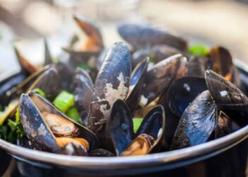 Cozze e cozze pelose: non sono la stessa cosa – ecco come sceglierle e quando mangiarle
