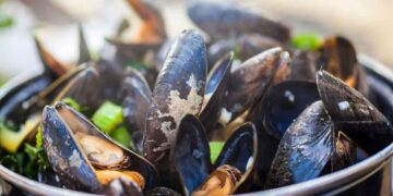 Cozze e cozze pelose: non sono la stessa cosa – ecco come sceglierle e quando mangiarle