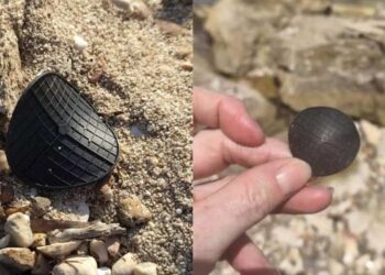 I dischetti neri che si trovano sulle spiagge