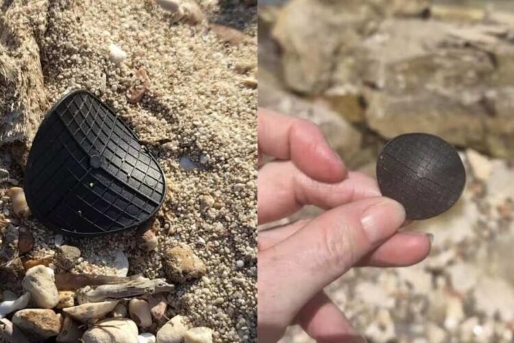I dischetti neri che si trovano sulle spiagge