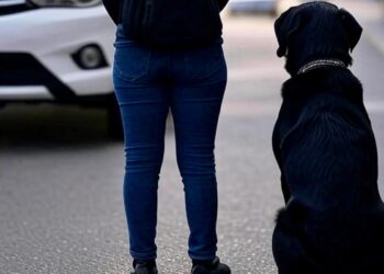 Una donna non vedente e il suo cane guida