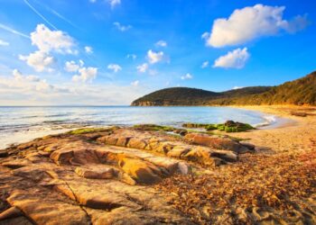 Cala Violina, la “Cala Mangiapoesia” in Toscana: dove la sabbia parla quando la calpesti… davvero!