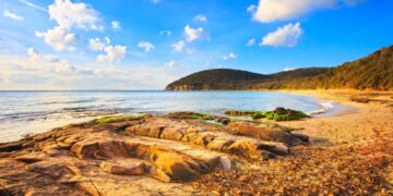 Cala Violina, la “Cala Mangiapoesia” in Toscana: dove la sabbia parla quando la calpesti… davvero!