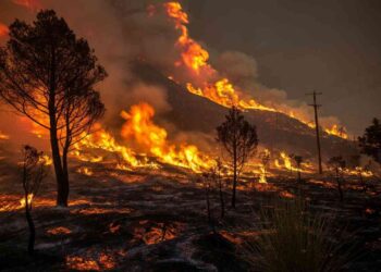 Un incendio boschivo in Francia