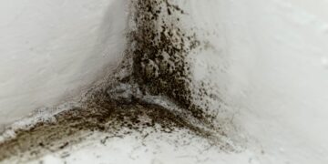 Muffa nera in bagno? Il rimedio più efficace è già nella tua dispensa (e non è la candeggina)