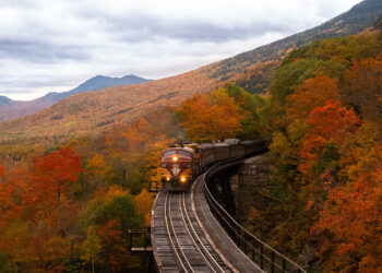Riparte il Treno del Foliage: la guida completa al viaggio tra i boschi colorati più amato d’autunno