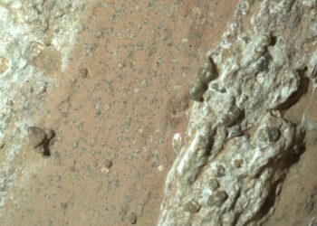 1-PIA26368-Perseverance_Finds_a_Rock_with_Leo.width-1600@NASA-JPL_Caltech-MSSS