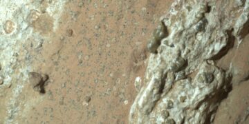1-PIA26368-Perseverance_Finds_a_Rock_with_Leo.width-1600@NASA-JPL_Caltech-MSSS