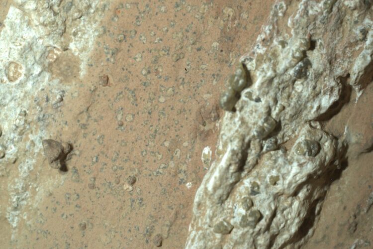 1-PIA26368-Perseverance_Finds_a_Rock_with_Leo.width-1600@NASA-JPL_Caltech-MSSS