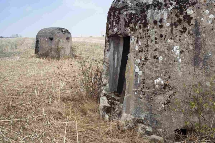 Città sotterranea nazista riemerge nel verde polacco: storia, misteri e nuove attrazioni